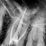 Sheharyar Naseem Khan 16348_20241216122029_0